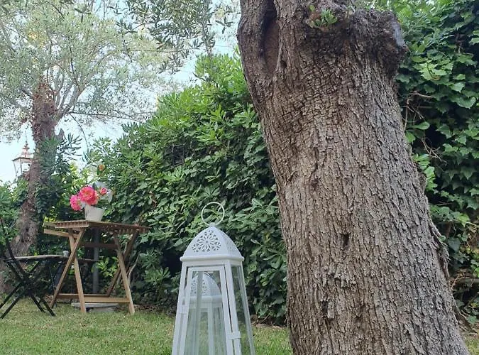 Martina